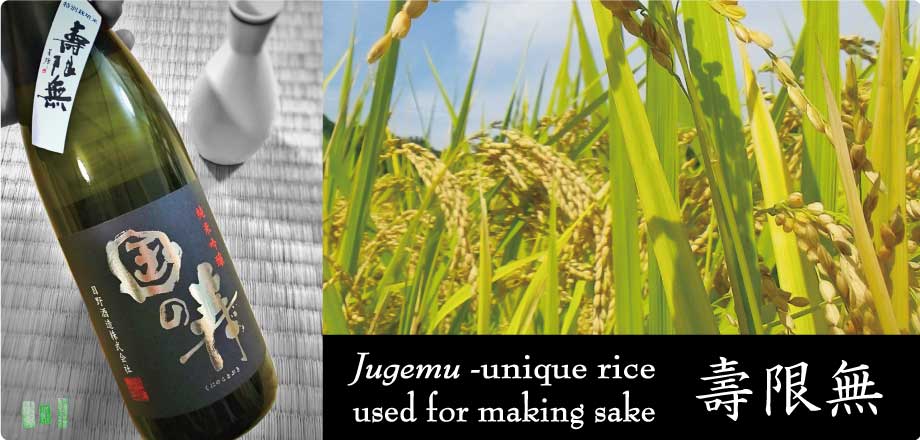 Jugemu -unique rice used for making sake